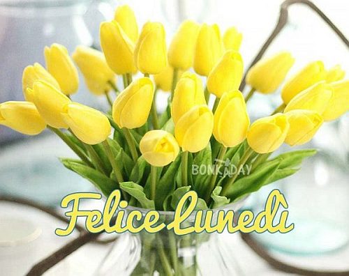 buon-lunedi-tulipani-gialli