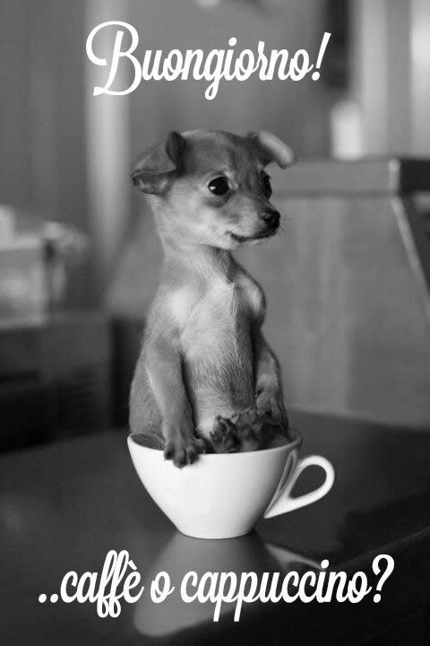 buongiorno-cane-caffe-cappuccino