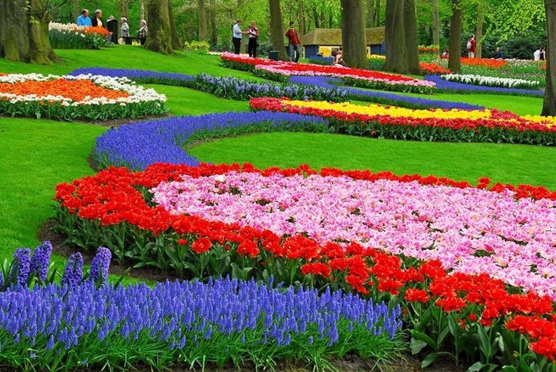 scelta-colori-fiori-giardino