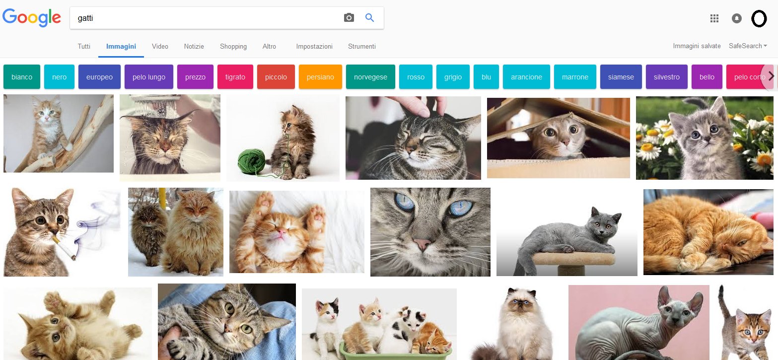 google-immagini-ricerca-avanzata-tutorial-gatti