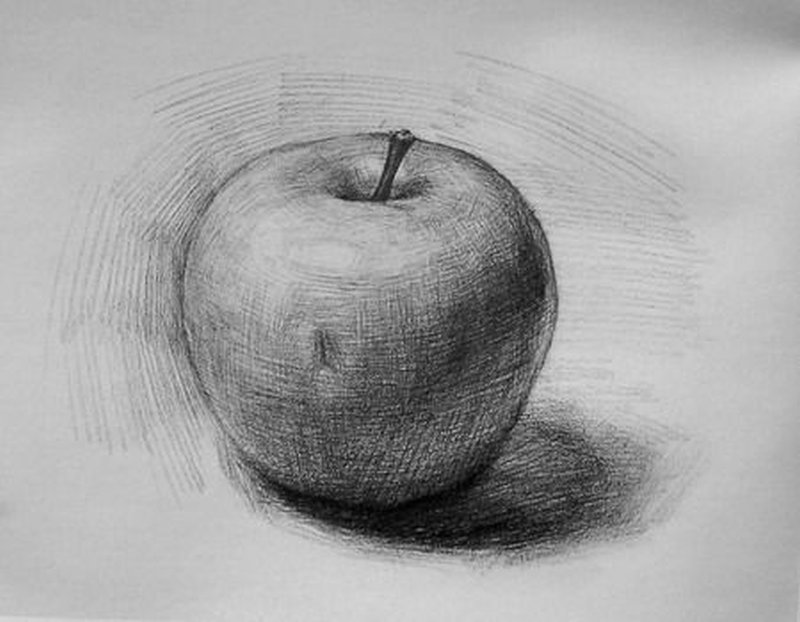 disegno-a-matita-natura-morta-mela